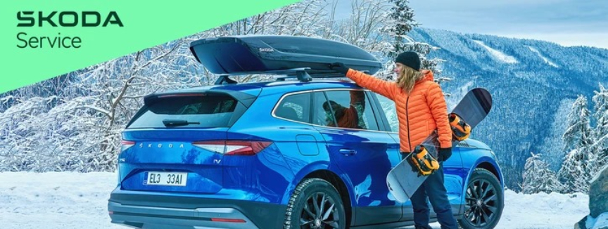 Ruote Invernali Skoda ES