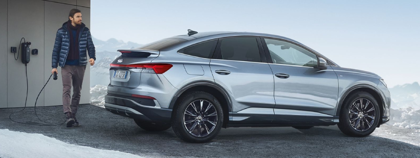 Winter Check Audi ES