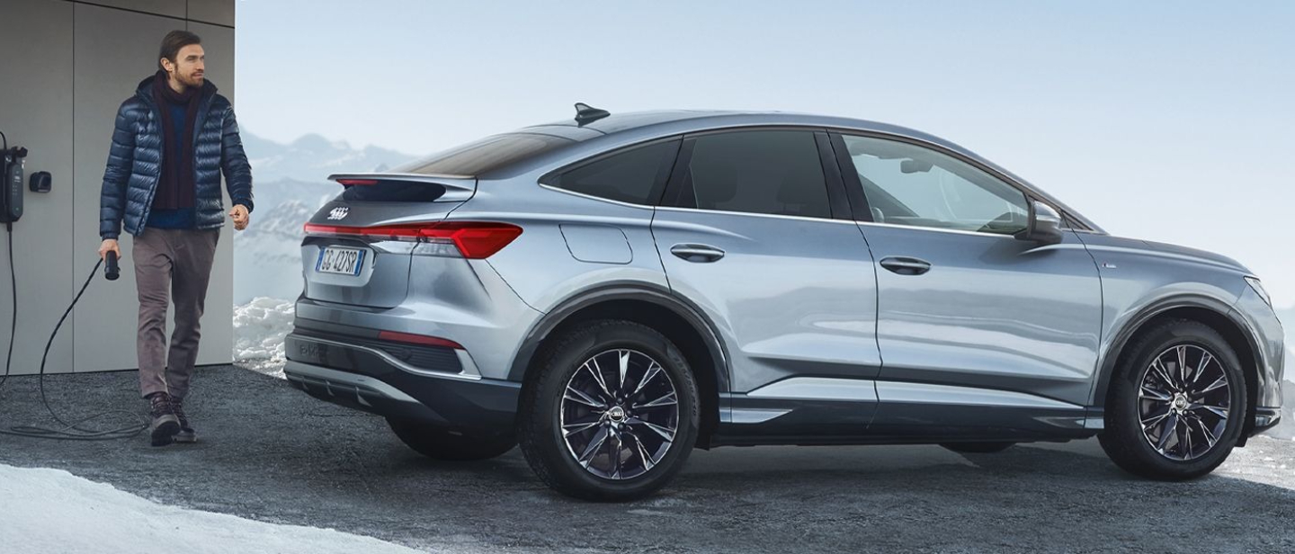Winter Check Audi EL